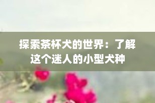 探索茶杯犬的世界：了解这个迷人的小型犬种