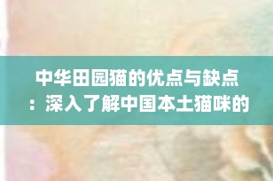 中华田园猫的优点与缺点：深入了解中国本土猫咪的魅力与挑战