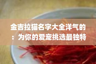 金吉拉猫名字大全洋气的：为你的爱宠挑选最独特的标识
