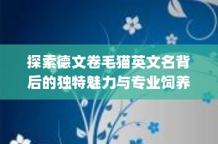 探索德文卷毛猫英文名背后的独特魅力与专业饲养指南