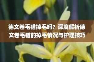 德文卷毛猫掉毛吗？深度解析德文卷毛猫的掉毛情况与护理技巧
