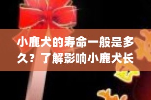 小鹿犬的寿命一般是多久？了解影响小鹿犬长寿的关键因素