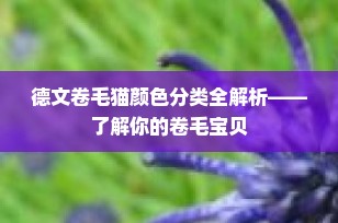 德文卷毛猫颜色分类全解析——了解你的卷毛宝贝