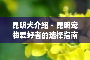 昆明犬介绍 - 昆明宠物爱好者的选择指南