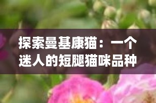 探索曼基康猫：一个迷人的短腿猫咪品种