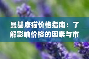 曼基康猫价格指南：了解影响价格的因素与市场行情