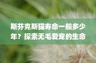 斯芬克斯猫寿命一般多少年？探索无毛爱宠的生命旅程