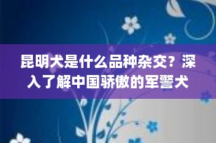 昆明犬是什么品种杂交？深入了解中国骄傲的军警犬