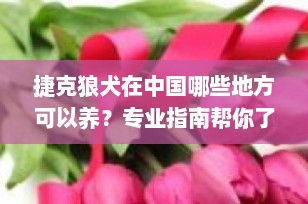 捷克狼犬在中国哪些地方可以养？专业指南帮你了解