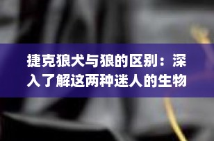 捷克狼犬与狼的区别：深入了解这两种迷人的生物