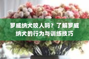 罗威纳犬咬人吗？了解罗威纳犬的行为与训练技巧