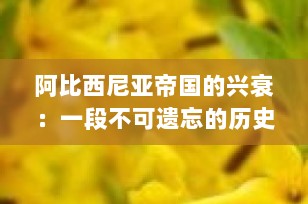 阿比西尼亚帝国的兴衰：一段不可遗忘的历史