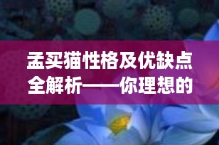 孟买猫性格及优缺点全解析——你理想的宠物伙伴