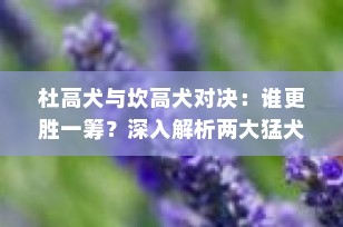 杜高犬与坎高犬对决：谁更胜一筹？深入解析两大猛犬的特点