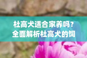 杜高犬适合家养吗？全面解析杜高犬的饲养要点
