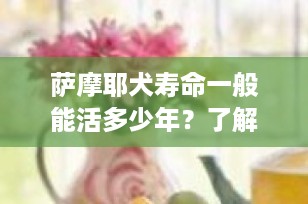 萨摩耶犬寿命一般能活多少年？了解影响因素，延长陪伴时光