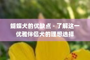 蝴蝶犬的优缺点 - 了解这一优雅伴侣犬的理想选择