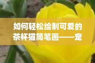 如何轻松绘制可爱的茶杯猫简笔画——宠物爱好者的创意指南