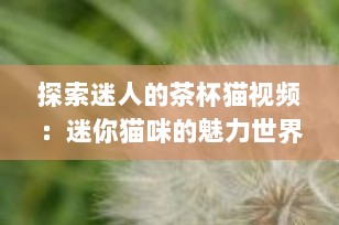 探索迷人的茶杯猫视频：迷你猫咪的魅力世界