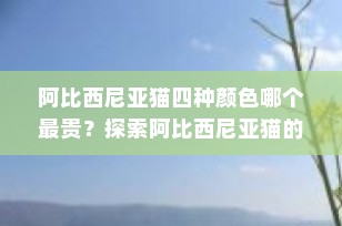 阿比西尼亚猫四种颜色哪个最贵？探索阿比西尼亚猫的珍贵色彩