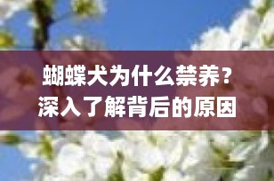 蝴蝶犬为什么禁养？深入了解背后的原因与应对策略