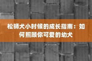 松狮犬小时候的成长指南：如何照顾你可爱的幼犬