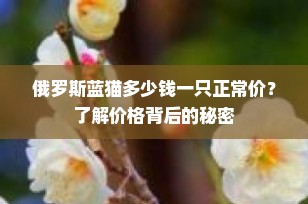俄罗斯蓝猫多少钱一只正常价？了解价格背后的秘密