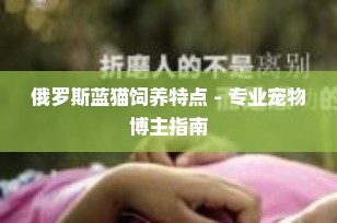 俄罗斯蓝猫饲养特点 - 专业宠物博主指南