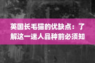 英国长毛猫的优缺点：了解这一迷人品种前必须知道的事