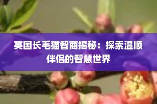 英国长毛猫智商揭秘：探索温顺伴侣的智慧世界