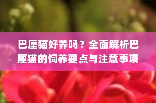 巴厘猫好养吗？全面解析巴厘猫的饲养要点与注意事项