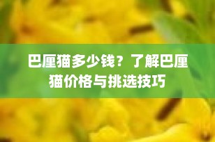 巴厘猫多少钱？了解巴厘猫价格与挑选技巧