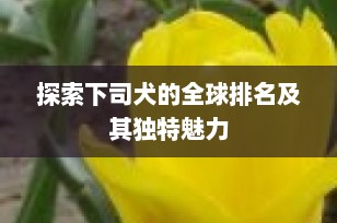 探索下司犬的全球排名及其独特魅力