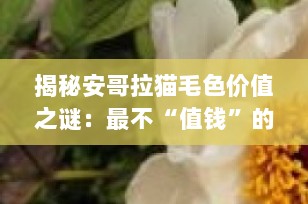揭秘安哥拉猫毛色价值之谜：最不“值钱”的颜色是？