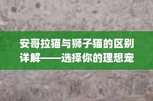 安哥拉猫与狮子猫的区别详解——选择你的理想宠物伴侣