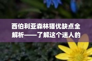 西伯利亚森林猫优缺点全解析——了解这个迷人的长毛精灵