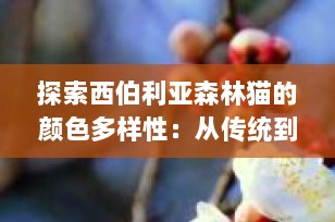 探索西伯利亚森林猫的颜色多样性：从传统到现代的多彩变化
