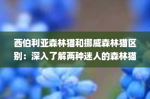 西伯利亚森林猫和挪威森林猫区别：深入了解两种迷人的森林猫