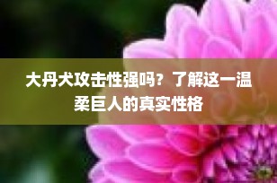 大丹犬攻击性强吗？了解这一温柔巨人的真实性格