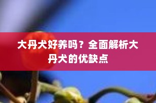 大丹犬好养吗？全面解析大丹犬的优缺点