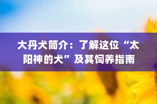 大丹犬简介：了解这位“太阳神的犬”及其饲养指南