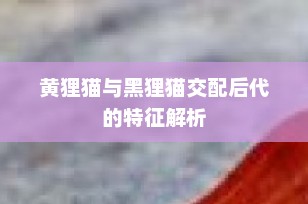 黄狸猫与黑狸猫交配后代的特征解析