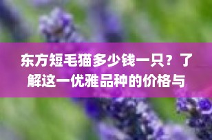 东方短毛猫多少钱一只？了解这一优雅品种的价格与价值