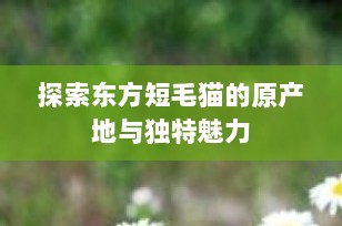 探索东方短毛猫的原产地与独特魅力