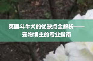 英国斗牛犬的优缺点全解析——宠物博主的专业指南