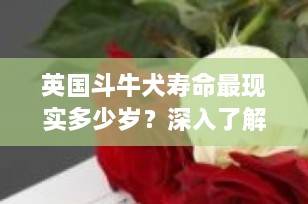 英国斗牛犬寿命最现实多少岁？深入了解影响英斗寿命的因素