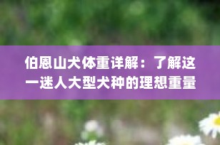 伯恩山犬体重详解：了解这一迷人大型犬种的理想重量