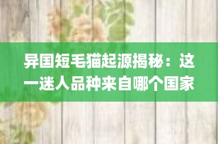 异国短毛猫起源揭秘：这一迷人品种来自哪个国家？