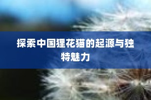 探索中国狸花猫的起源与独特魅力