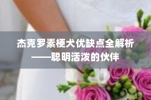 杰克罗素梗犬优缺点全解析——聪明活泼的伙伴
